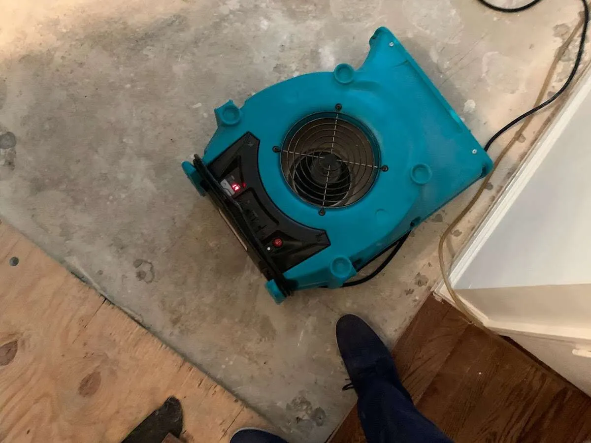 Air mover drying subfloor during Commercial Water Damage Restoration in Milton-Freewater